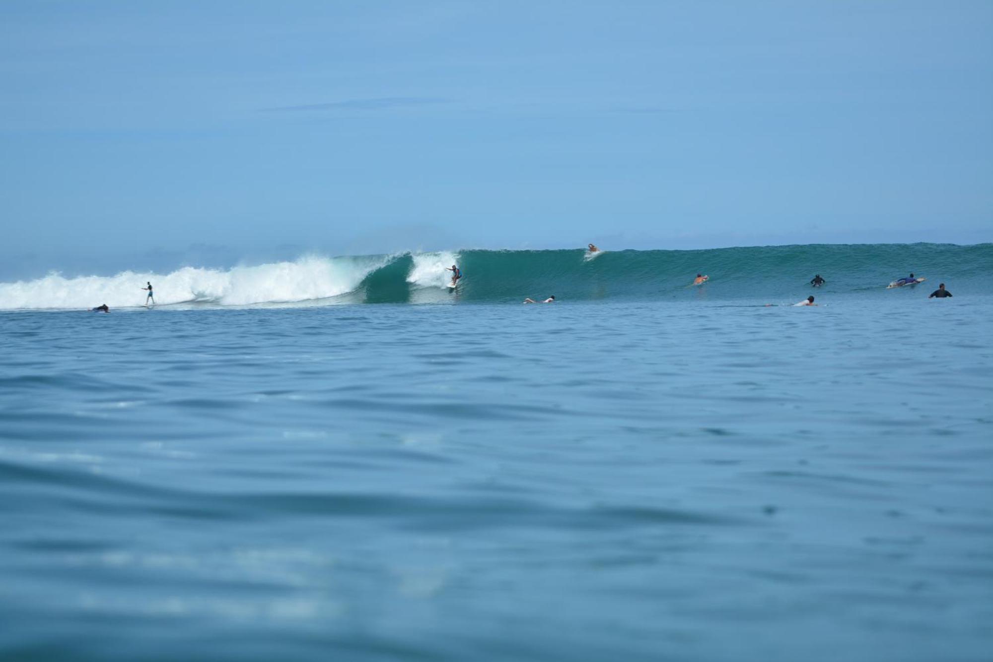 Pensión Swell