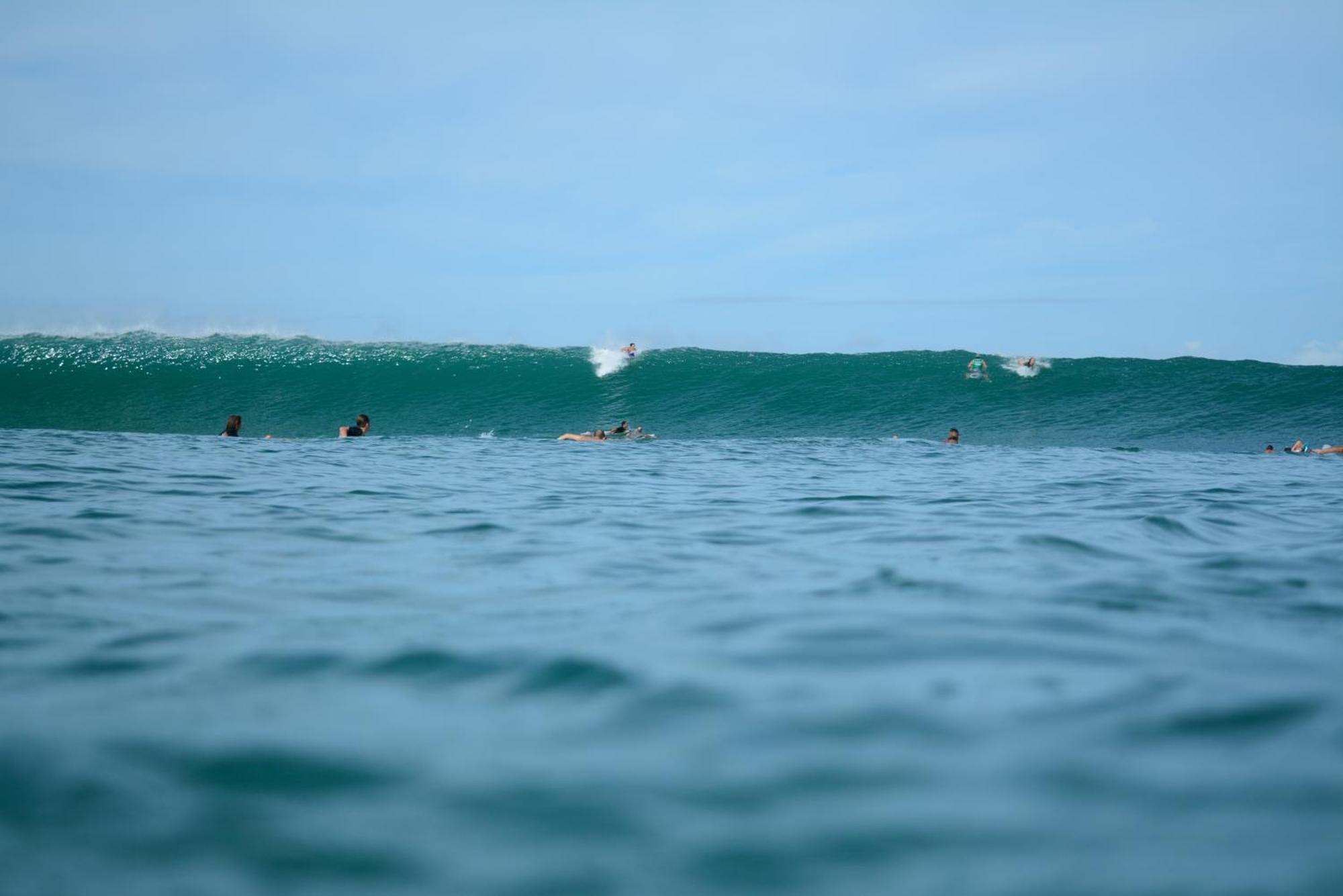 Swell Pensión