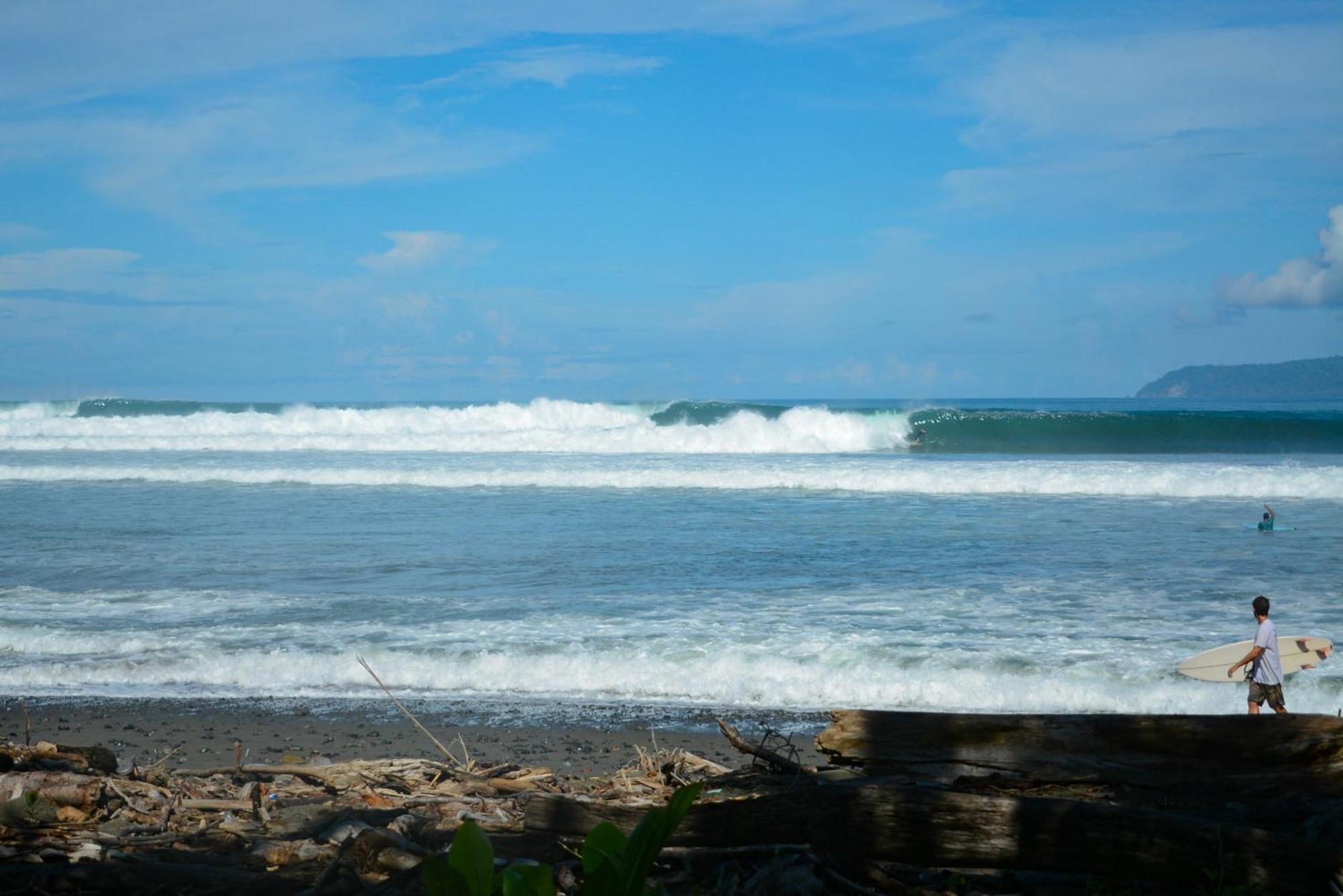 Swell Pavones (Puntarenas)