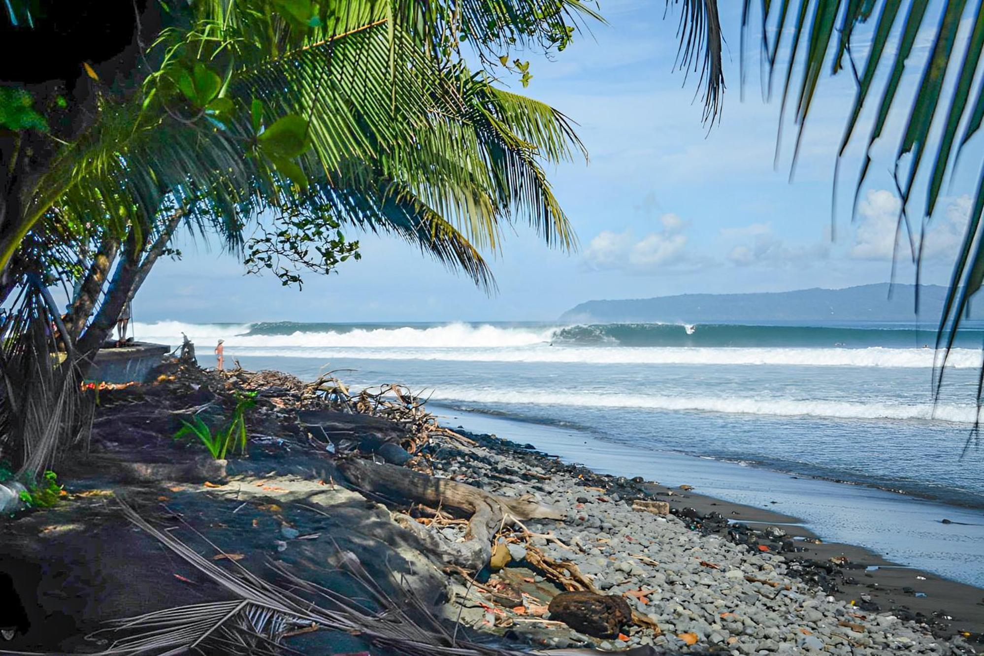 Swell Pavones (Puntarenas)