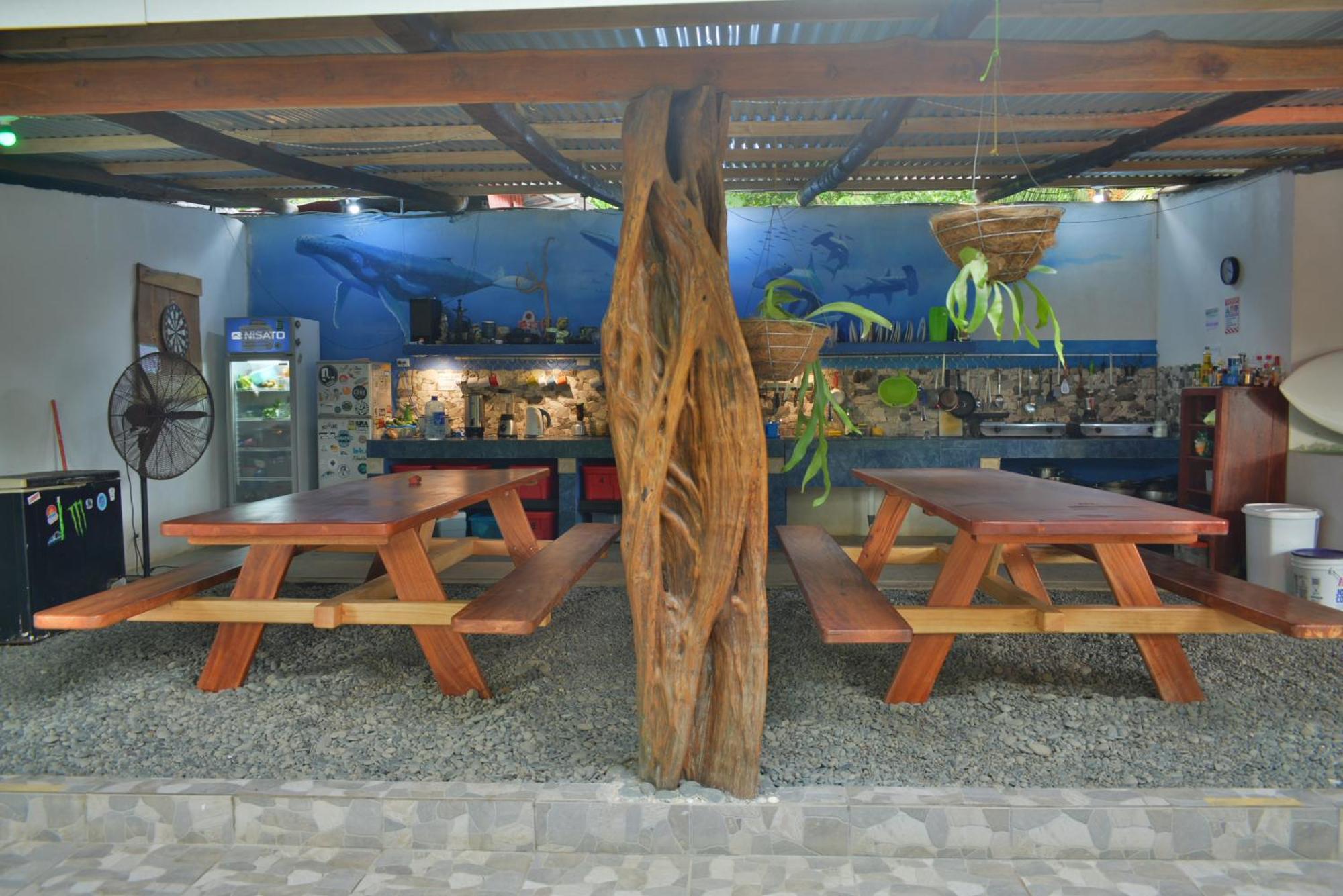 Swell * Pavones (Puntarenas)