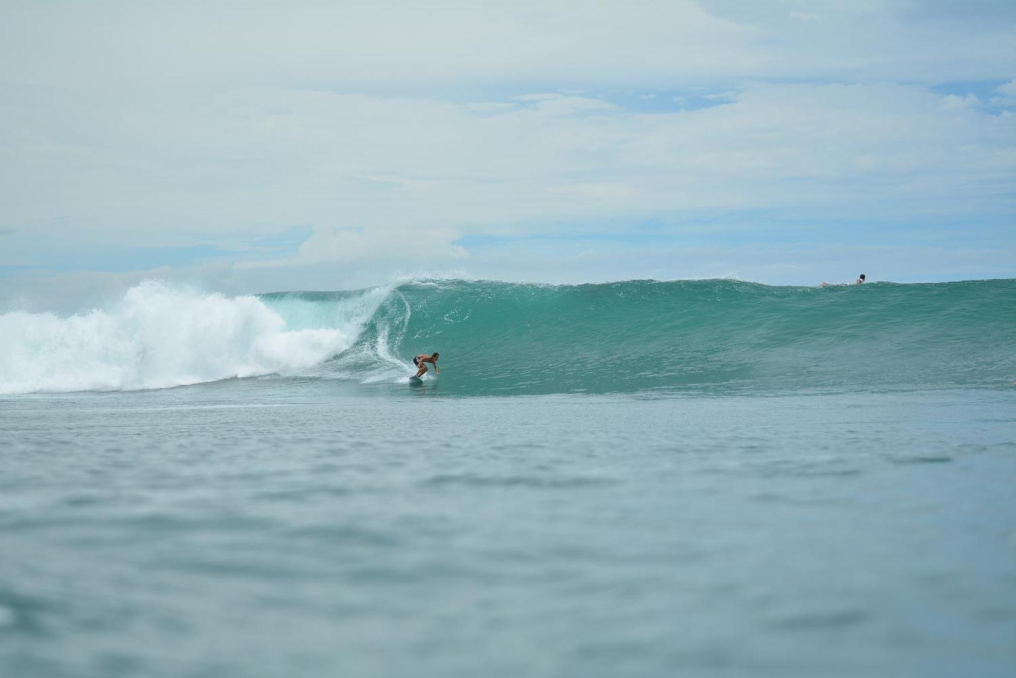Guest house Swell