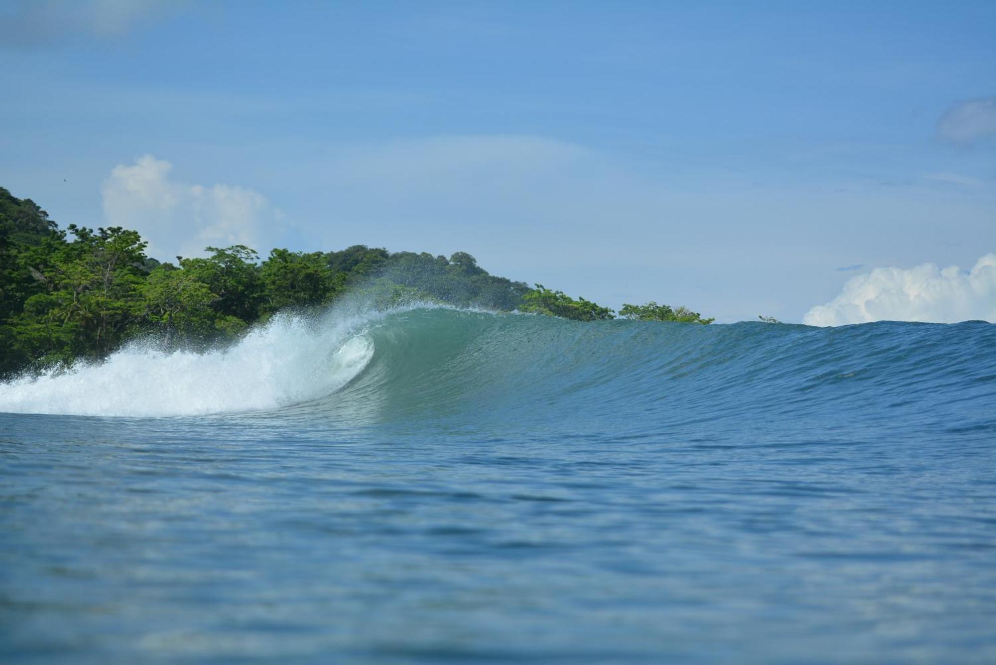 Guest house Swell
