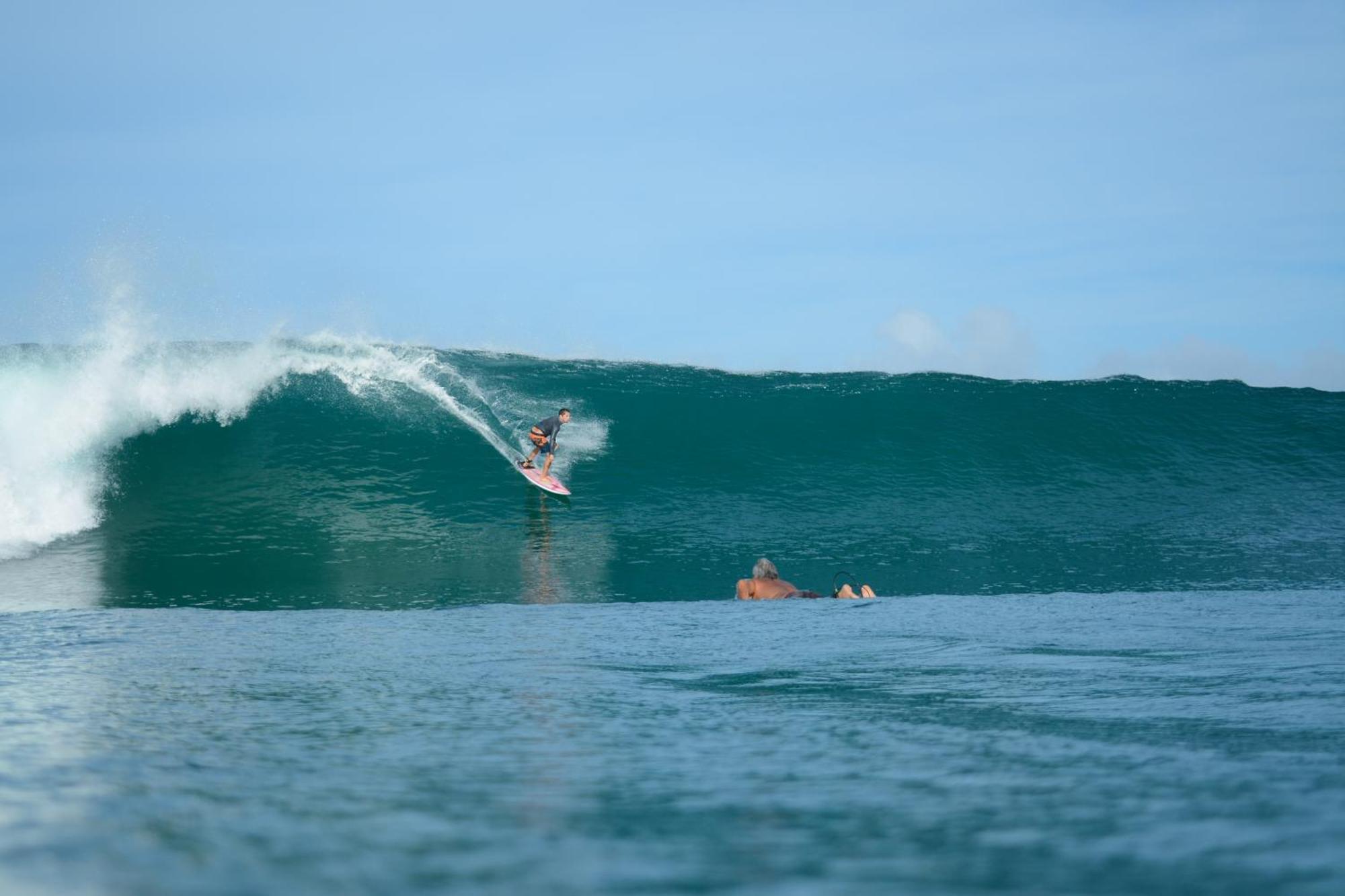 Guest house Swell