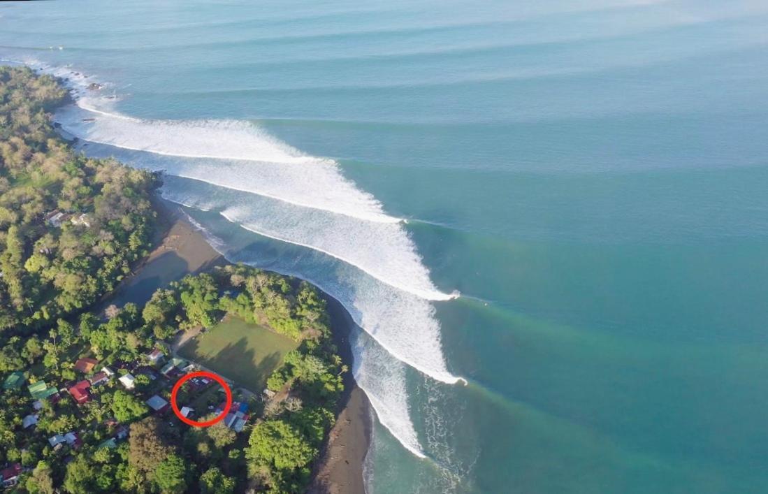 Swell Pavones (Puntarenas)