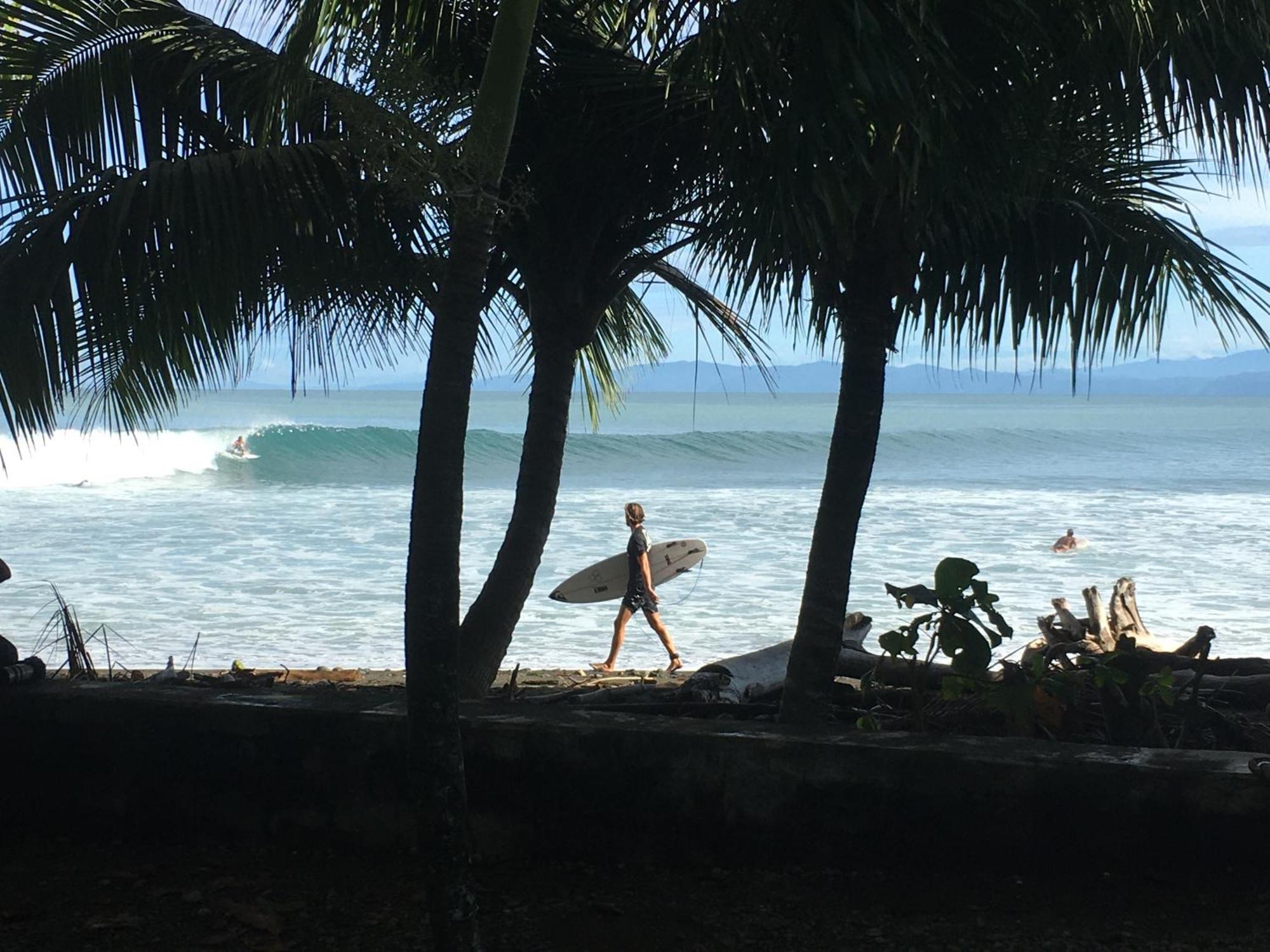 Guest house Swell Pavones (Puntarenas)