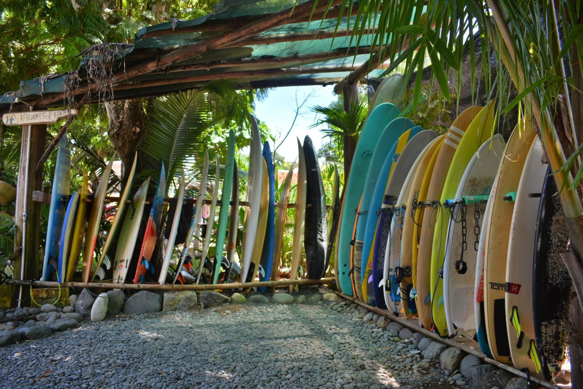 Swell Guest house Pavones (Puntarenas)