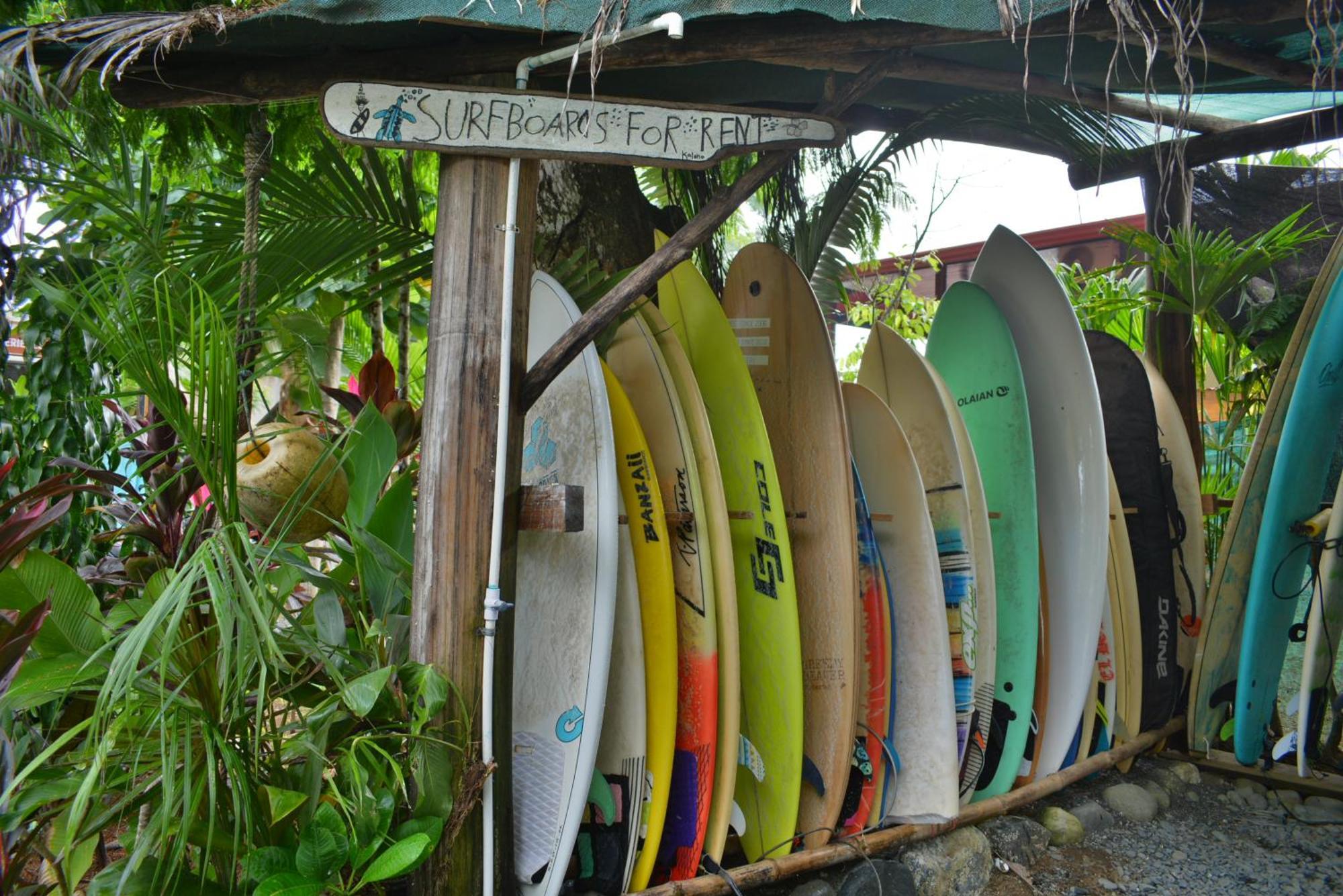 Guest house Swell Pavones (Puntarenas)